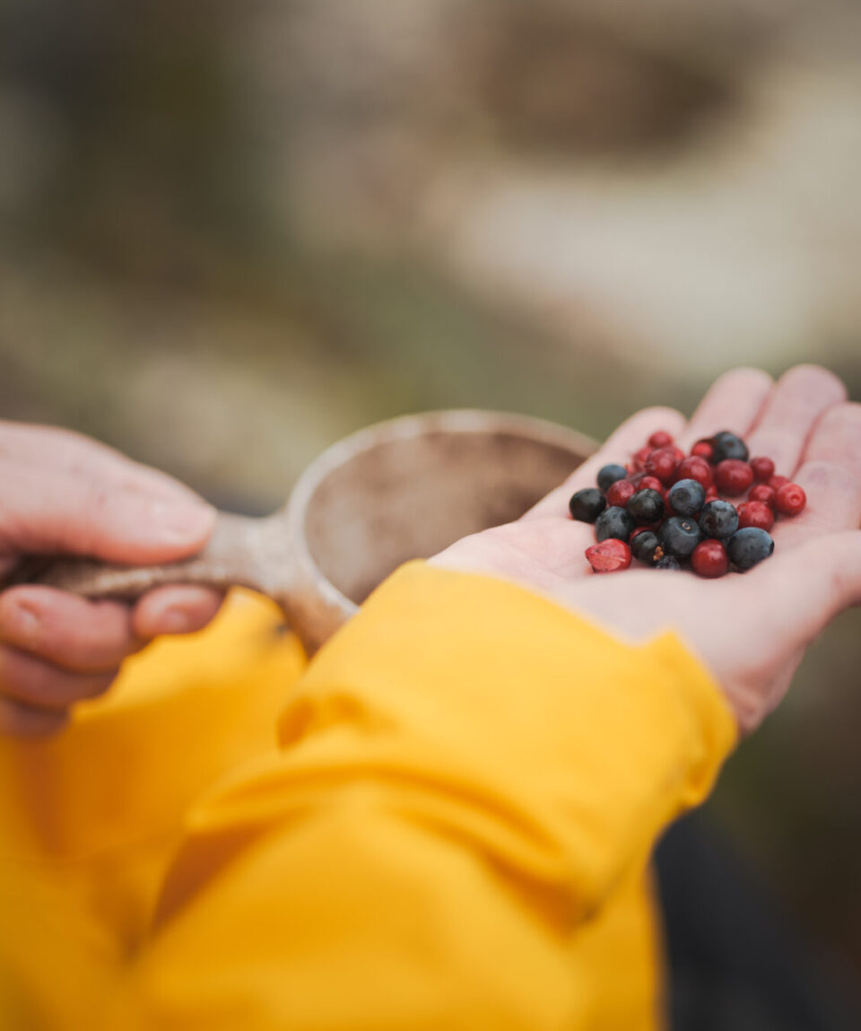 0001 20221003 Wilderness Cooking Nature Octola Autumn GFX100s DSCF3953 Web Res