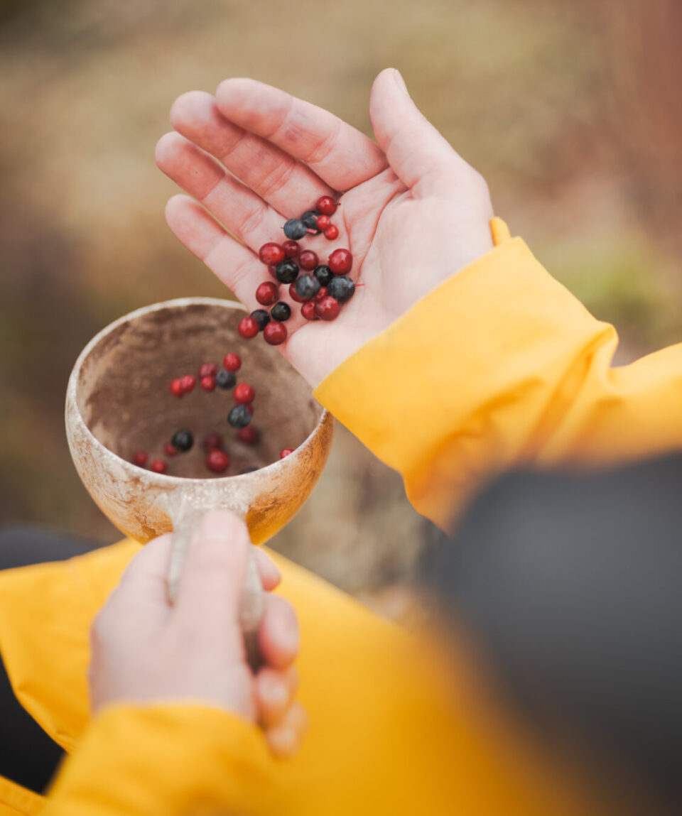 0002 20221003 Wilderness Cooking Nature Octola Autumn GFX100s DSCF3957 Web Res