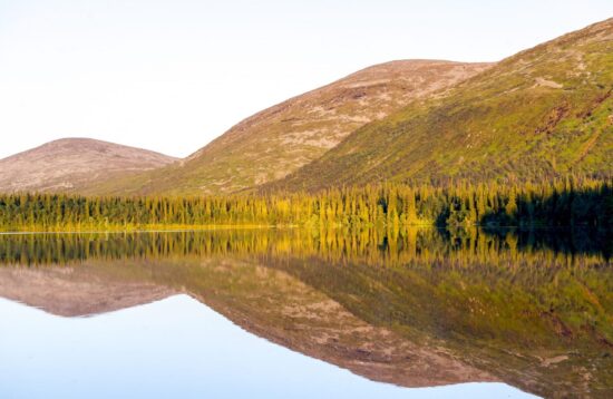 Särkitunturi Hiking Tour in Levi