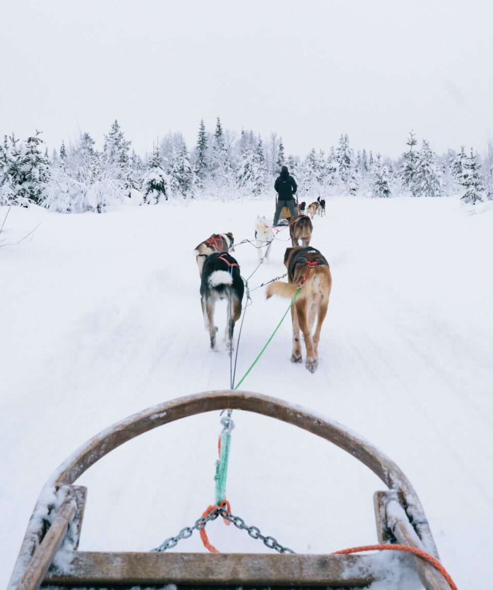 1-Self-Driving Husky Sledging Tour