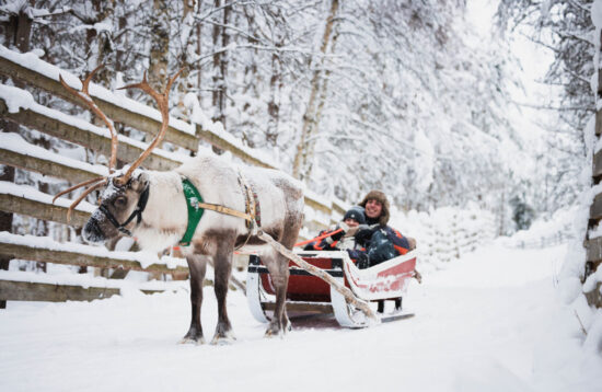 Snowmobiling to Reindeer and Husky Farm