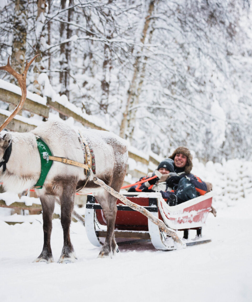 Snowmobile-Reindeer-Husky