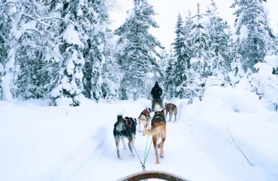 15-Kilometers Self-Driving Husky Tour in Levi