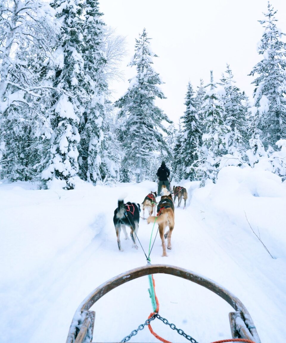 15-Kilometers Self-Driving Husky Tour in Levi1 2