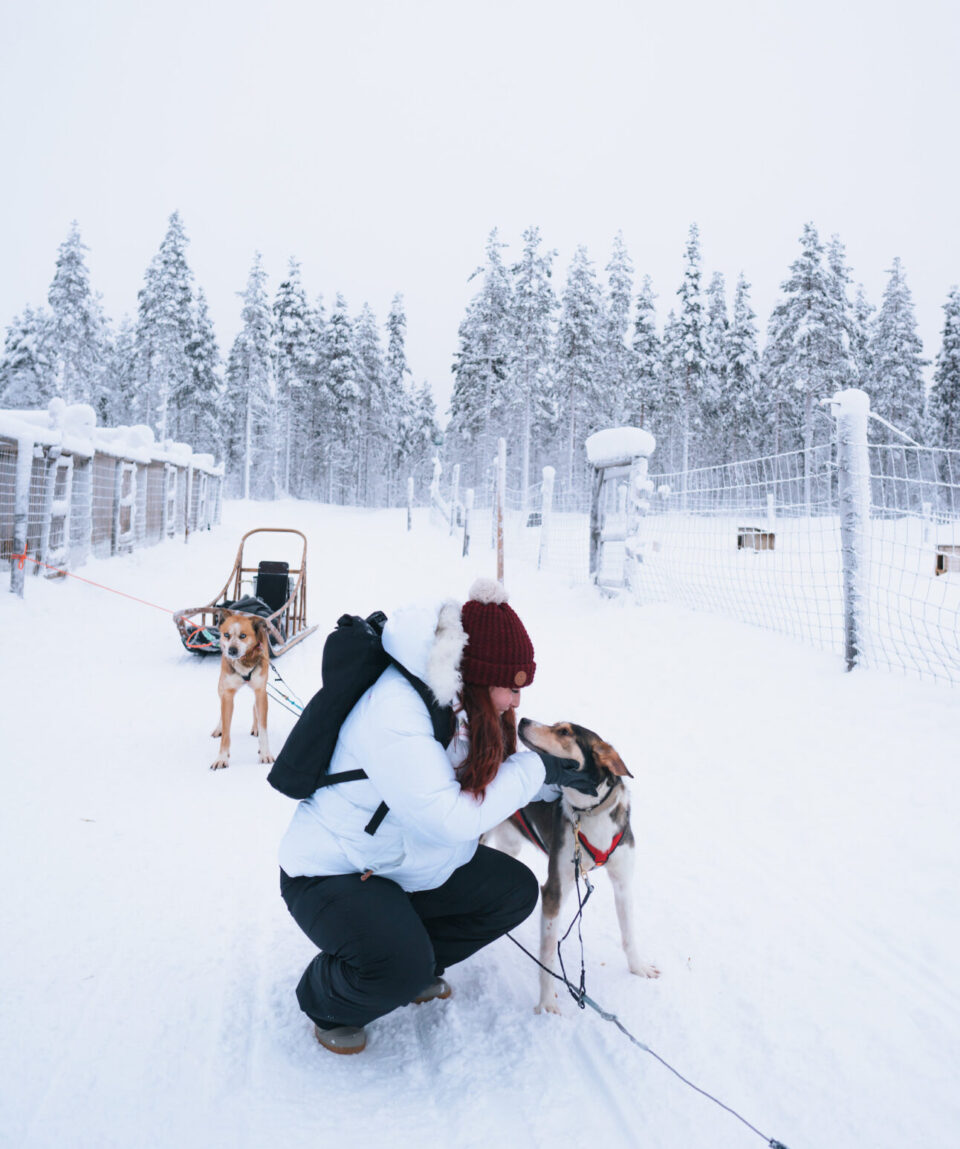 15-Kilometers Self-Driving Husky Tour in Levi2