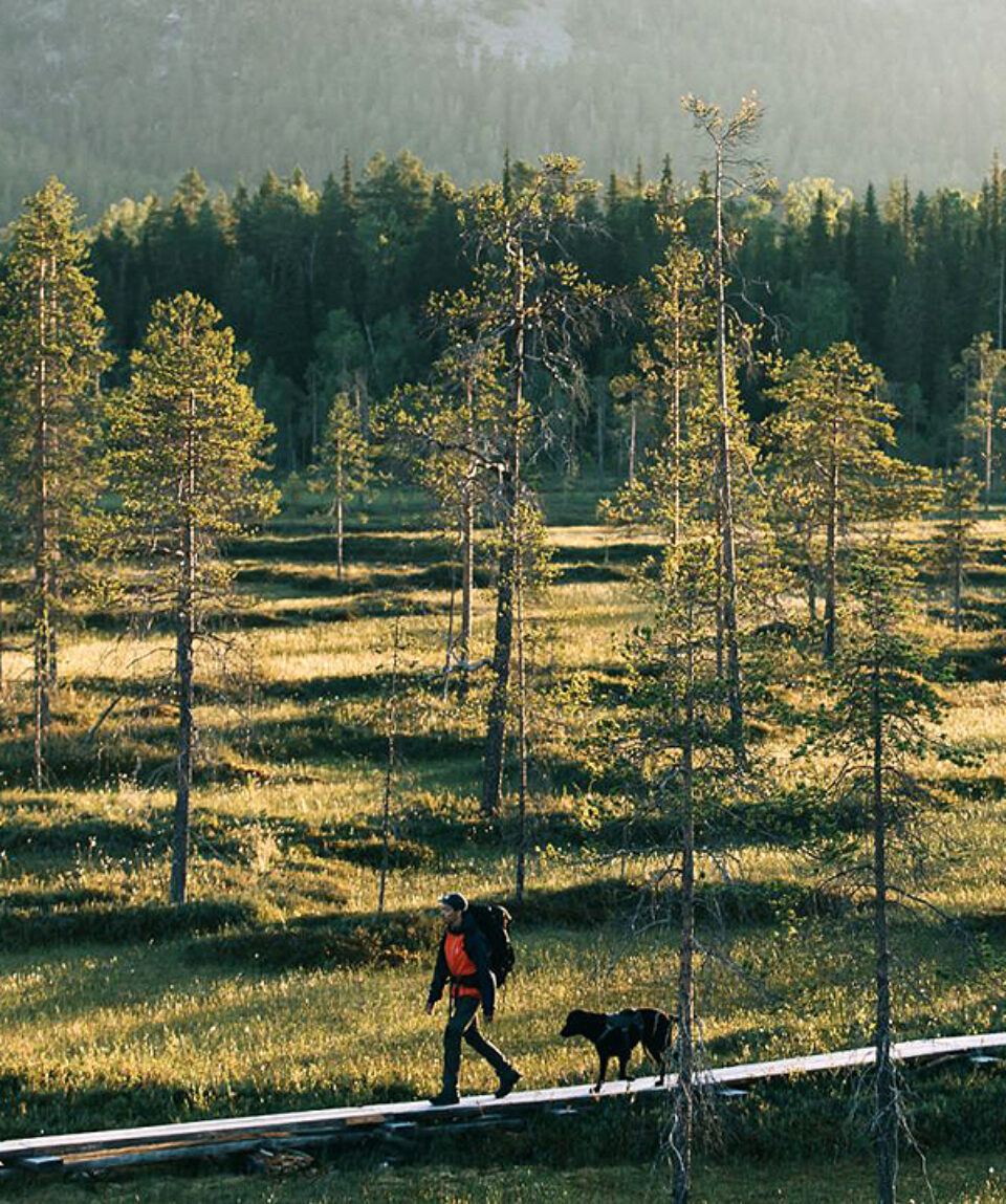 26a09045-finland-national-park-lapland-pyha-luosto-terhi-tuovinen-kopio-1440x810