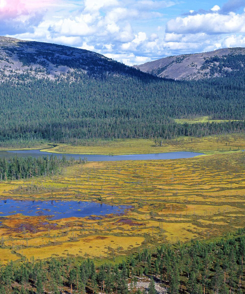 4289ede746f6c750a0de71b2e4024506