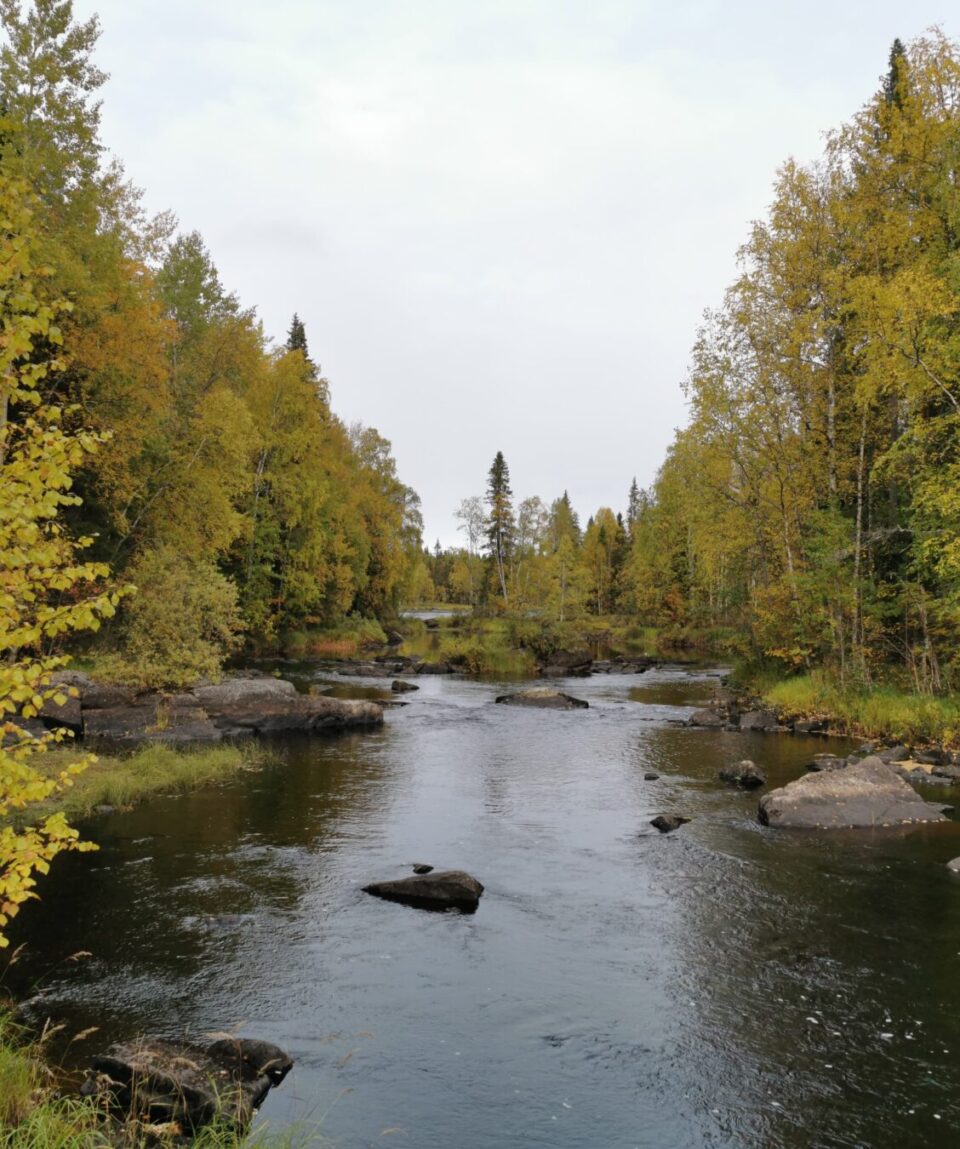 70608399_1721844387953061_6725377361958666240_n