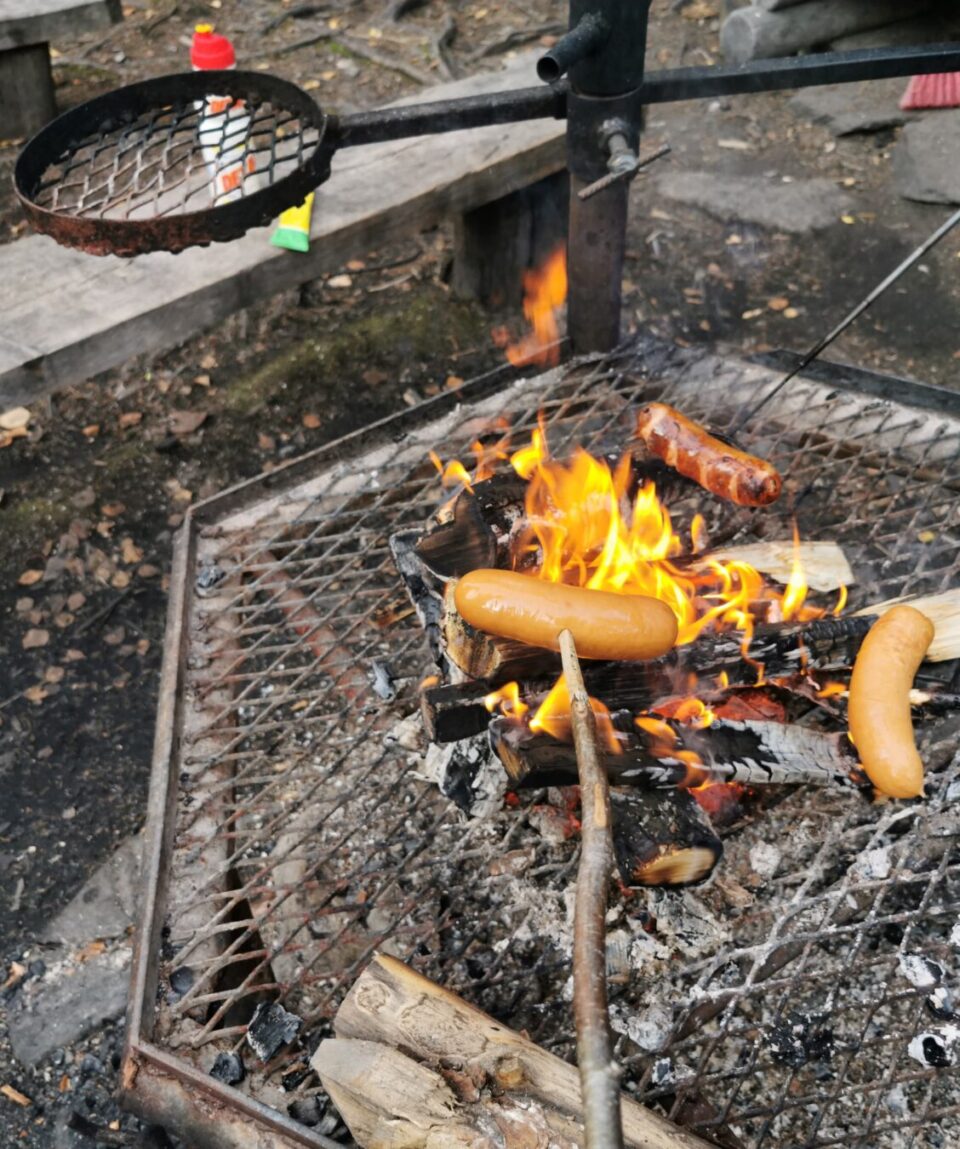 70796417_405977623635915_1351162742425255936_n