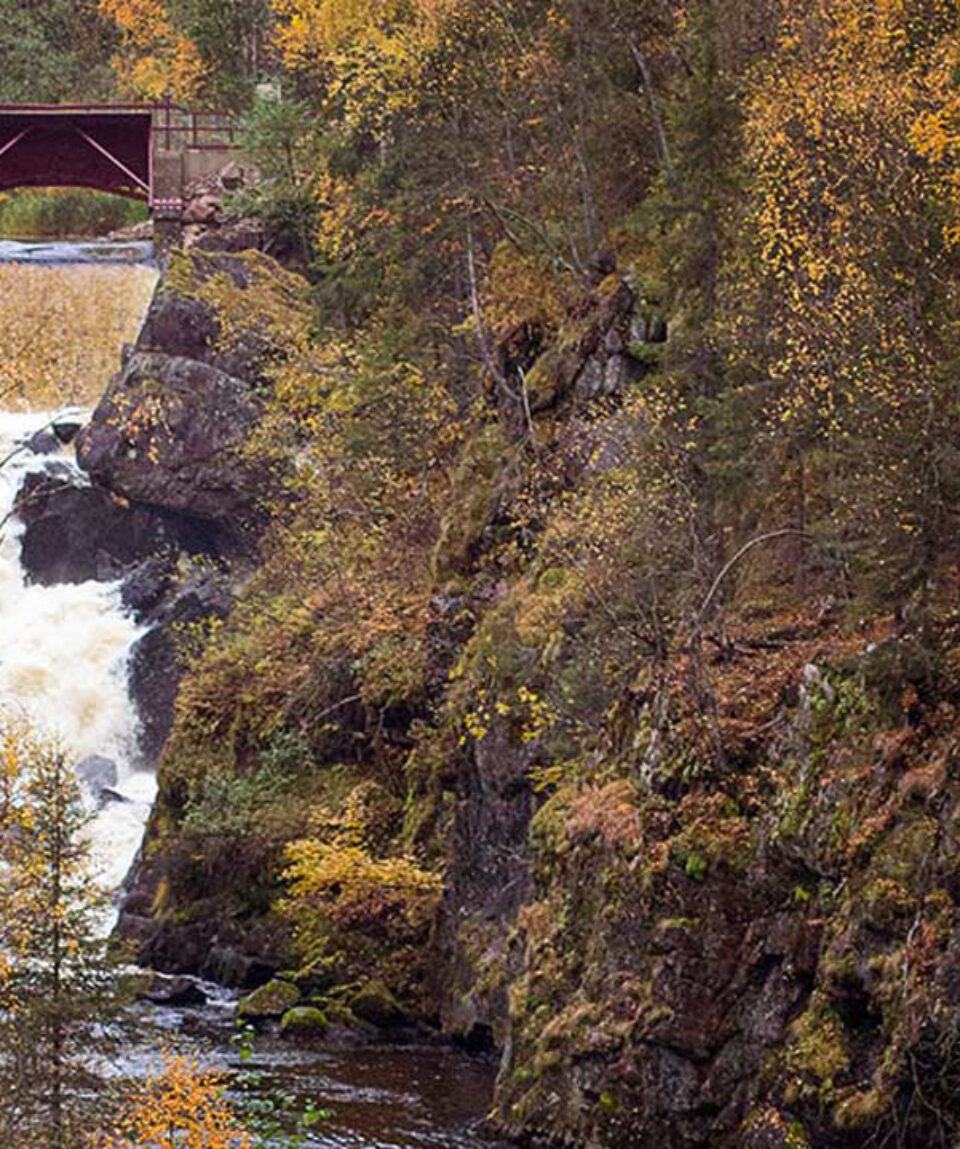 Auttikongas_Vesa_MattiHillberg_etusivu_paakuva_1050x590