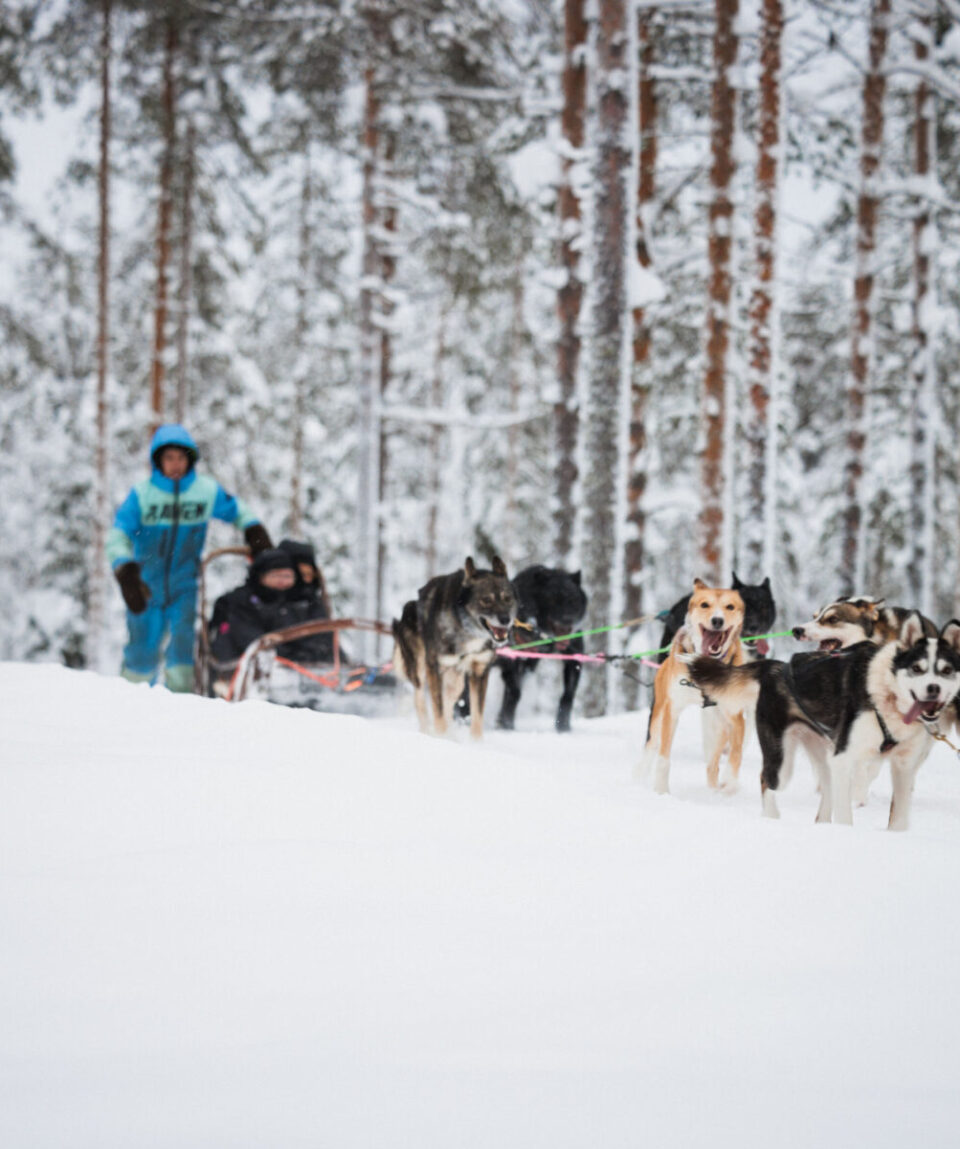 Highlights-by-Snowmobile8