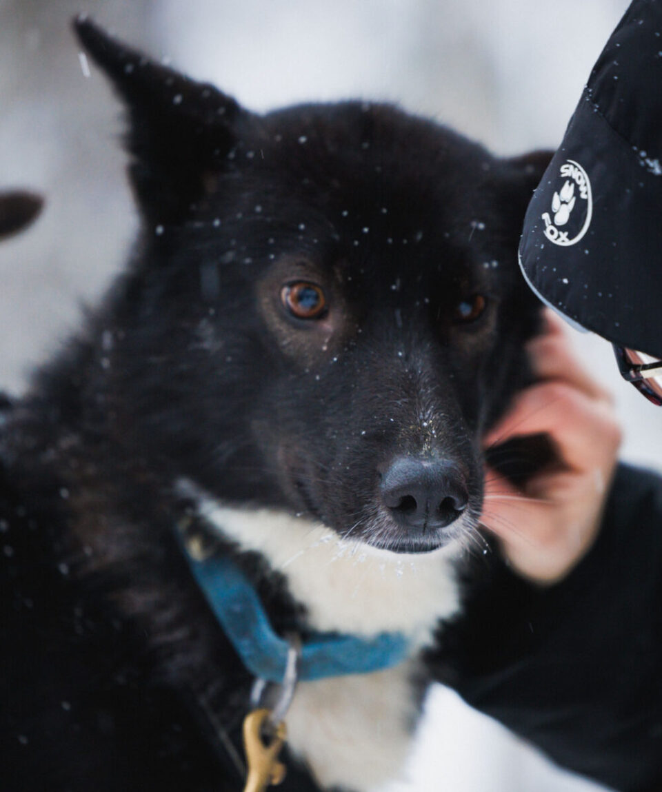 Highlights-by-Snowmobile9