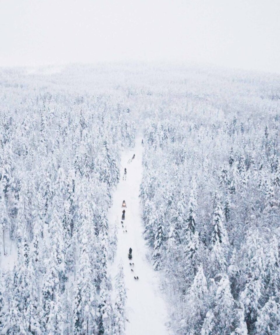 Husky-Long-Trail-Safari-6