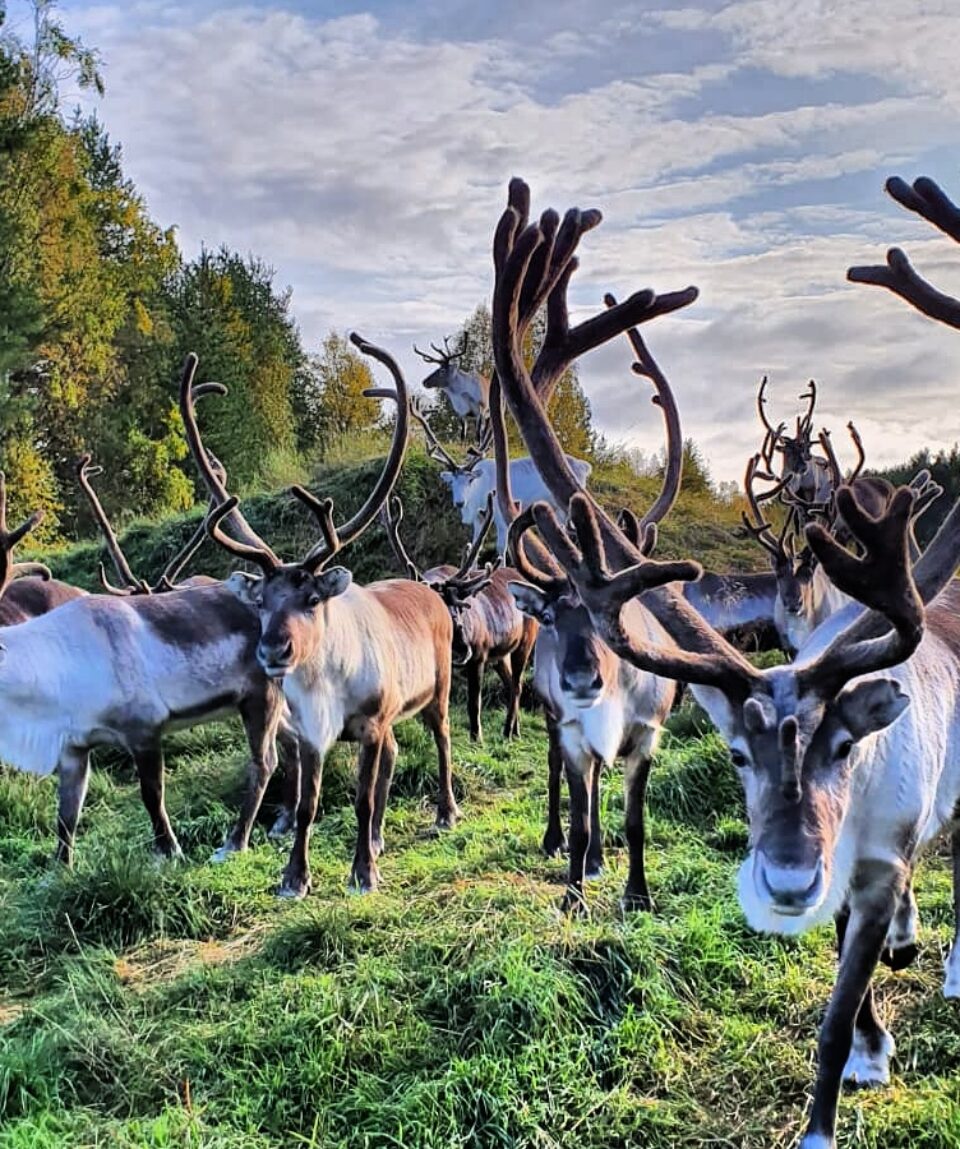 IMG_20190920_225121_911