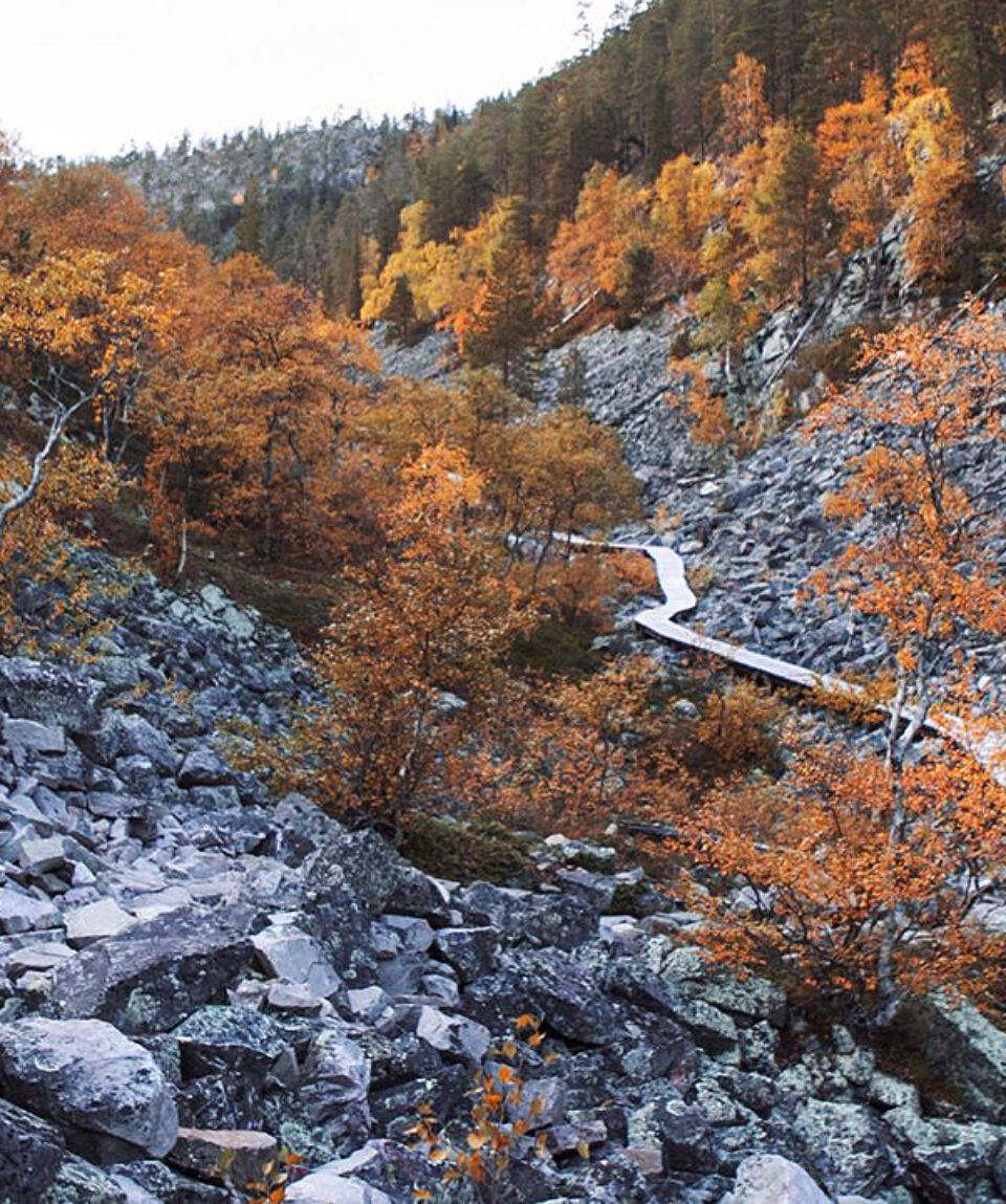 lapland_pyha_hiking__lapland-material-bank_anna_muotka_-1440x811
