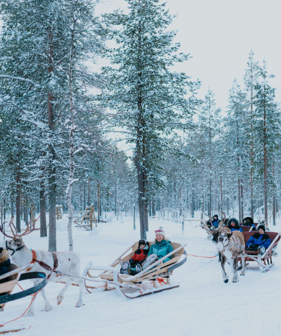 Levi Winter Highlights1