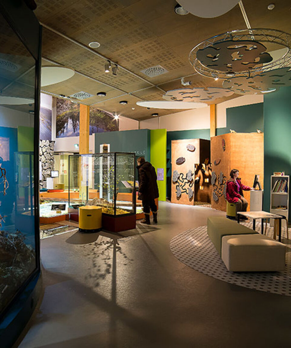 Luontokeskus_Naava_TapaniMikkola_etusivu_paakuva_1050x590