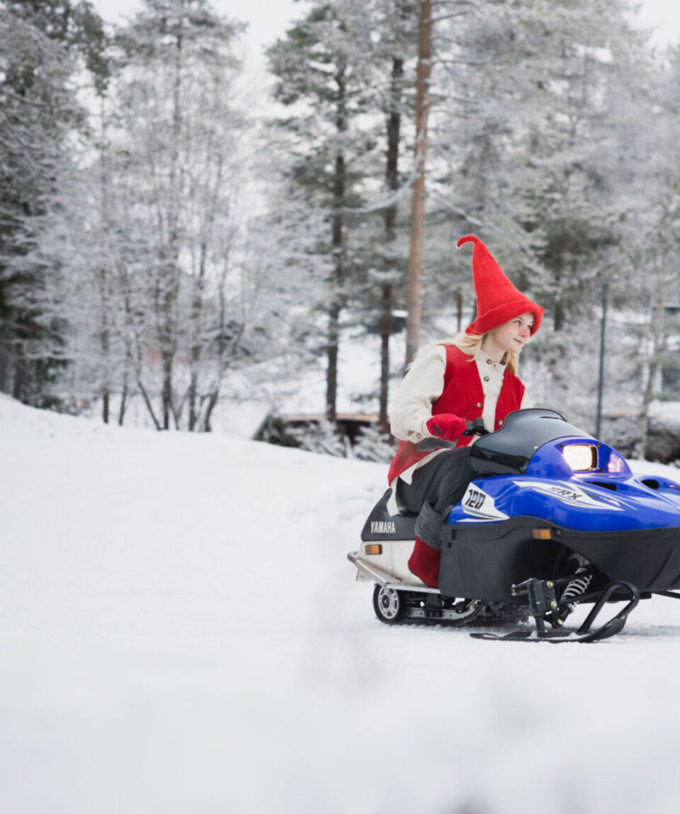 Mini-Snowmobile