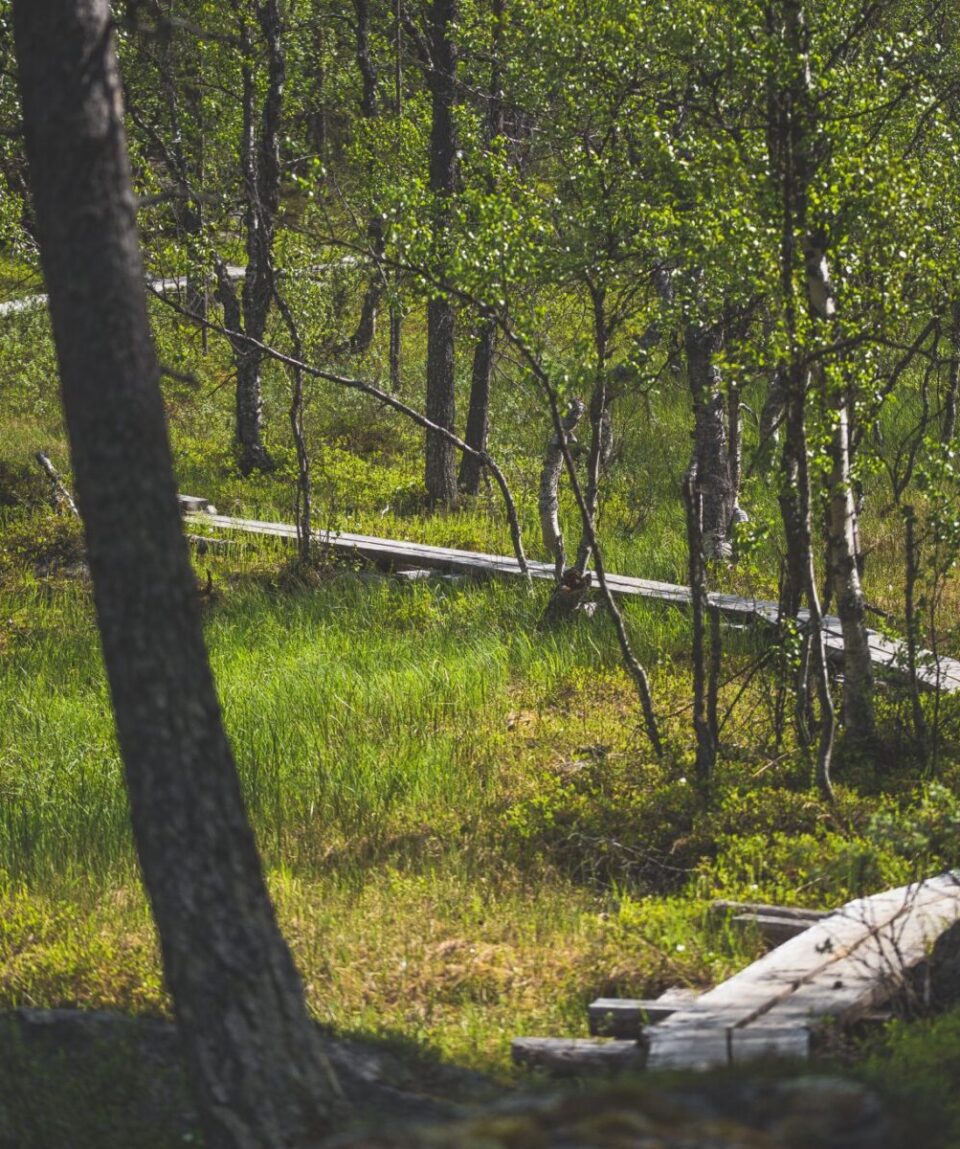 Taivaskero Hiking Tour in Levi
