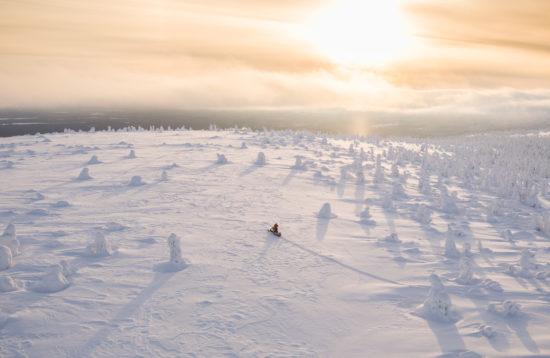 Half-Day Snowmobile Tour in Levi