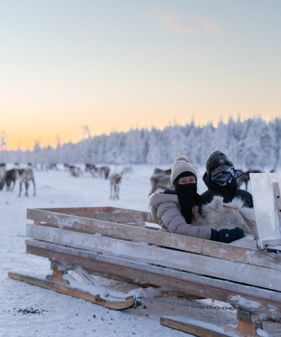Reindeer Husbandry Experience4