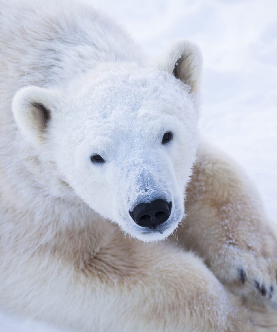 Rovaniemi Two days Adventure Package