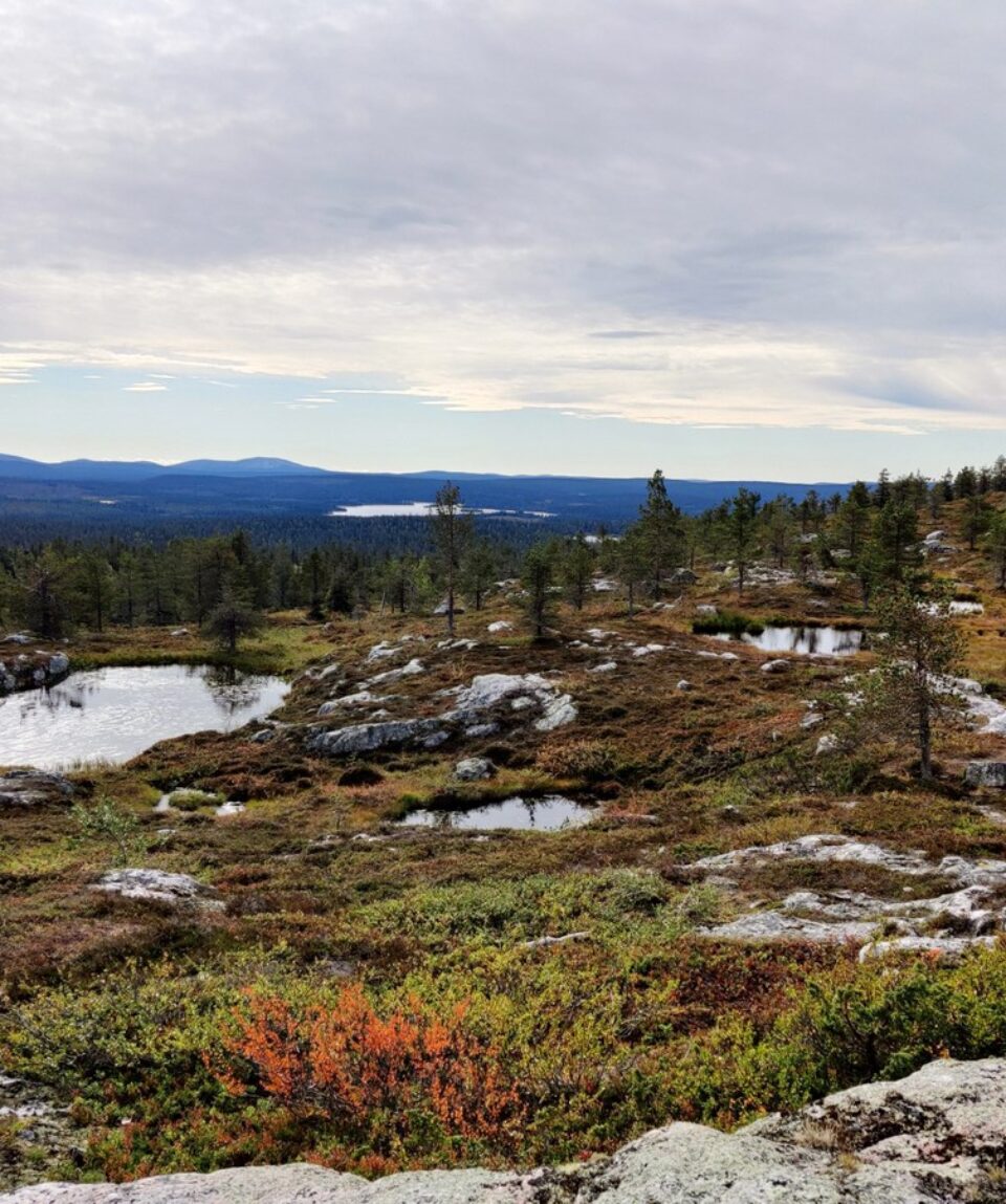 Särkitunturi Hiking Tour in Levi2