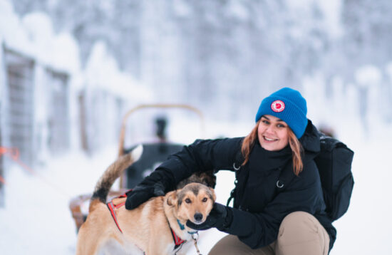 Immerse yourself in the enchanting world of huskies with our unforgettable 1km husky sleigh ride and husky sleigh ride session in Rovaniemi, Husky tour, Rovaniemi, Husky safari, Husky ride, Husky Sleigh ride, levi, lapland