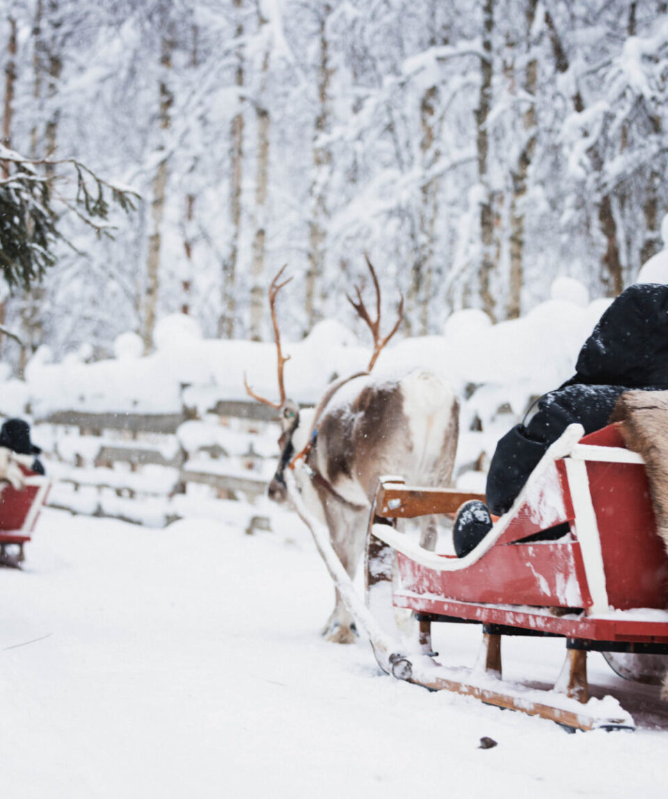 Snowmobile-Reindeer-Husky-4