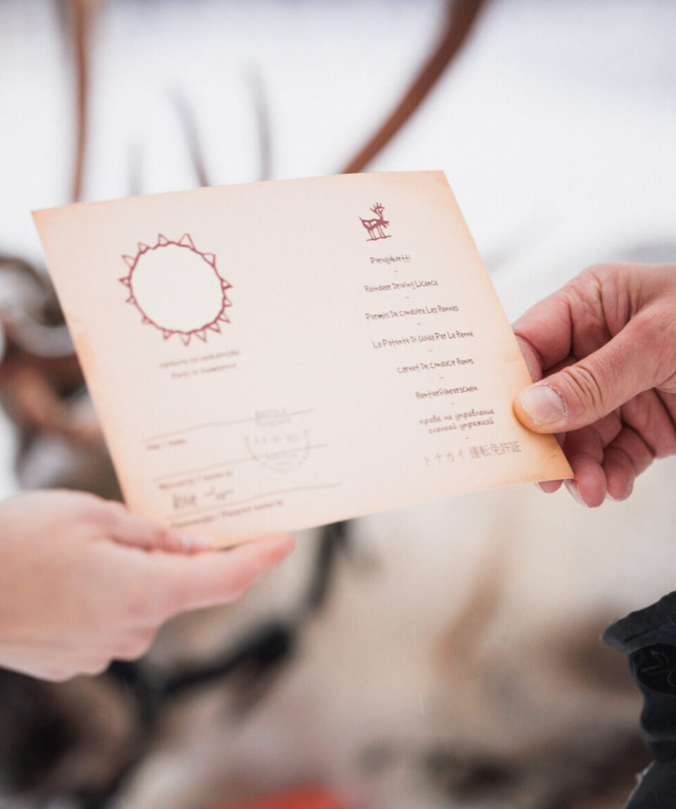 Snowmobile-Reindeer-Husky-6