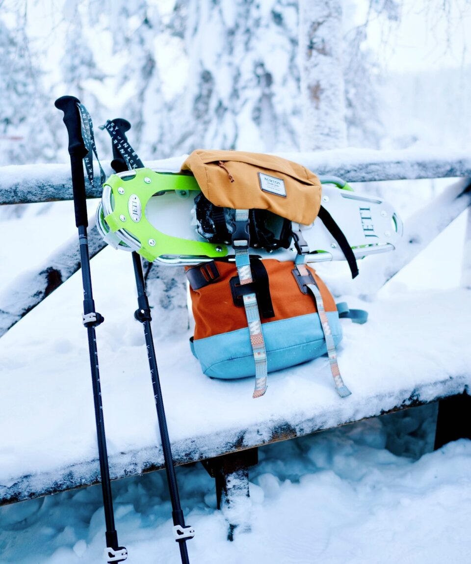 Snowshoeing Tour in Levi5 2