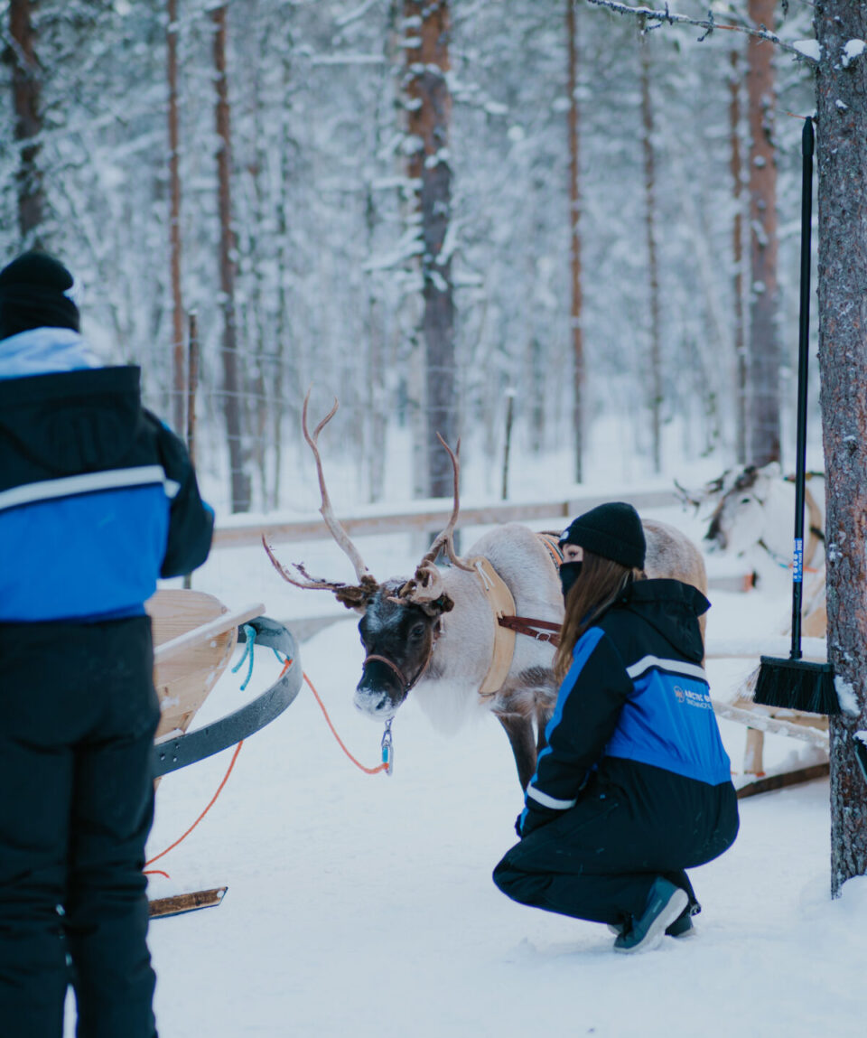 Traditional Reindeer Farm Visit5