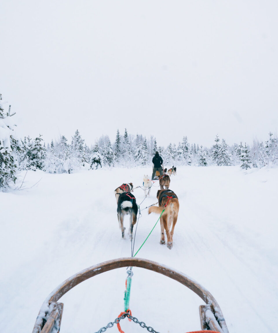 Two Days Adventure Package in Levi8