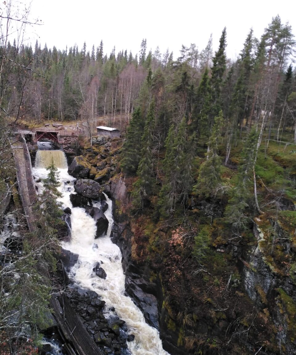 WhatsApp Image 2019-10-15 at 16.22.19(1)