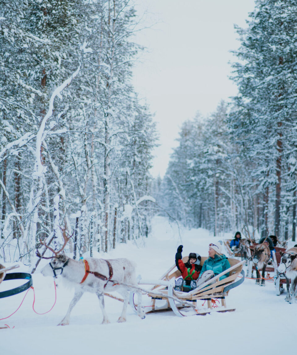 Winter Highlights by Snowmobile 2