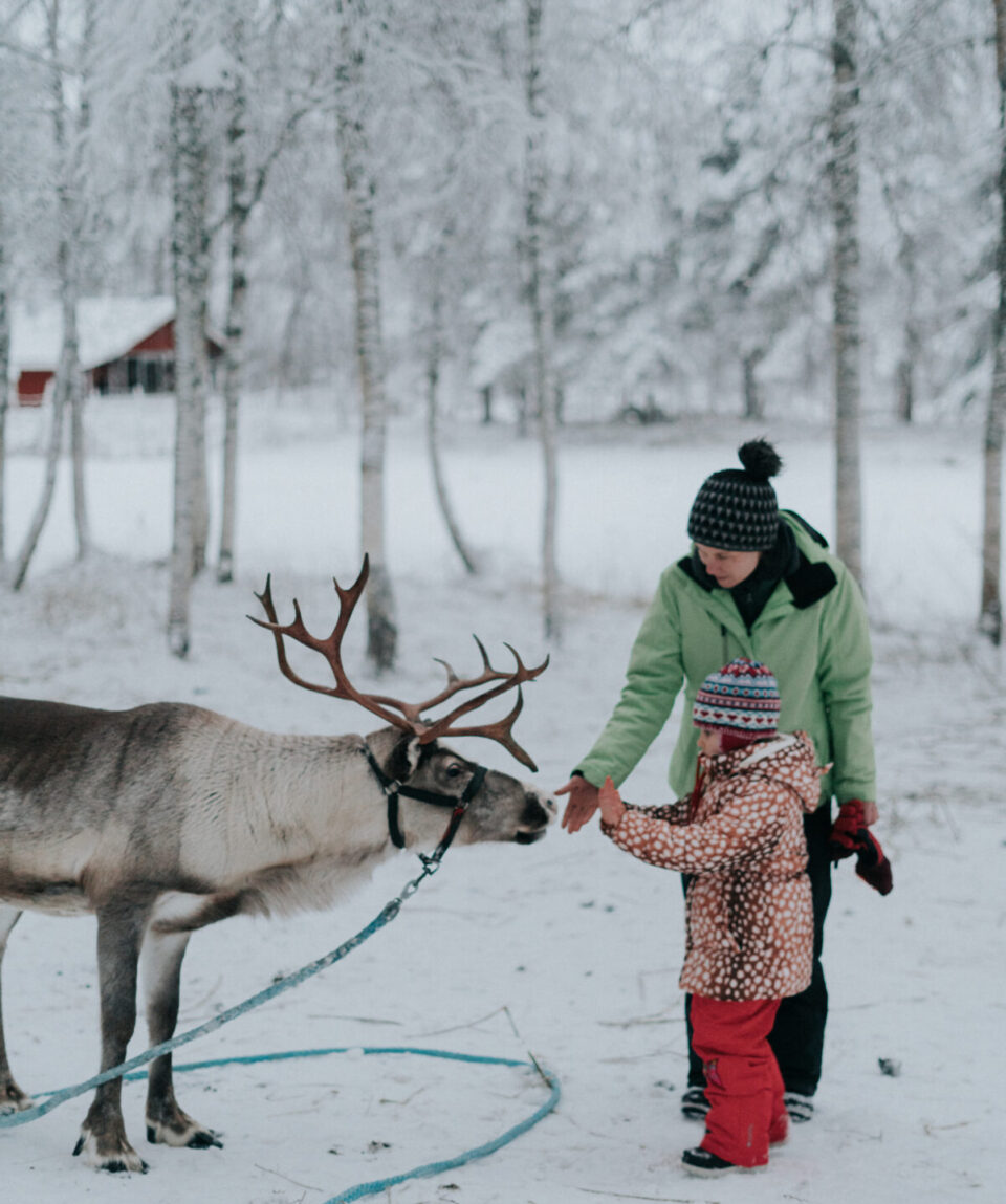 Winter Highlights by Snowmobile 6